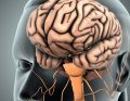 NAR_3_24_Oskar_Fogiel_CZY_SZCZESCIE_MOZE_ZABIC_ZESPOL_SEROTONINOWY_iStock-2150456450_zespół serotoninowy