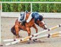 NAR_5_24_Jakub_Kasperowicz_UPADEK_Z_KONIA_OBRAZENIA_I_SKUTKI_ZDARZEN_iStock-944818242