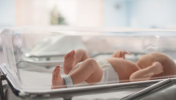 ratownicy24-hipotermia-lecznicza